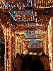s_PICT0009_thumb.png